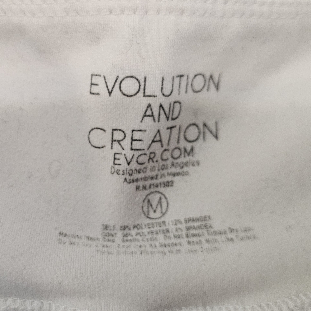 Evolution and creation - Picture 6 of 6